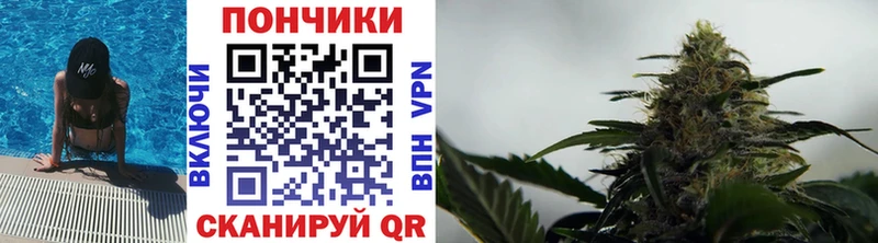 Марихуана OG Kush Губкин